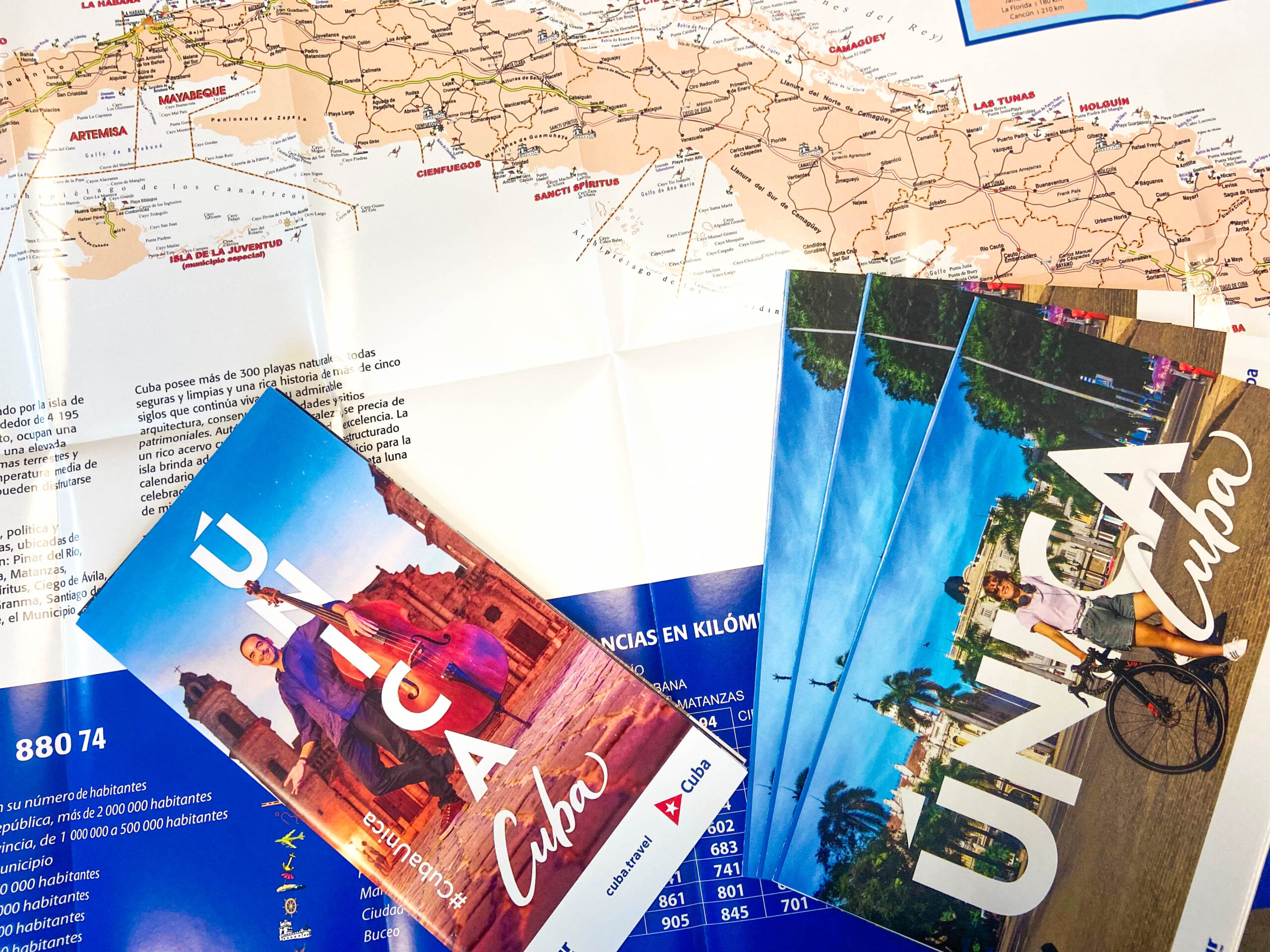 WhatsApp Image 2025-09-10 at 16.24.10